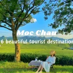 6 beautiful tourist destinations in Moc Chau that fascinate people's hearts