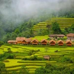 Top 8 most beautiful homestays in Hoang Su Phi