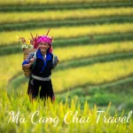 Travel experience in Mu Cang Chai in the ripe rice season