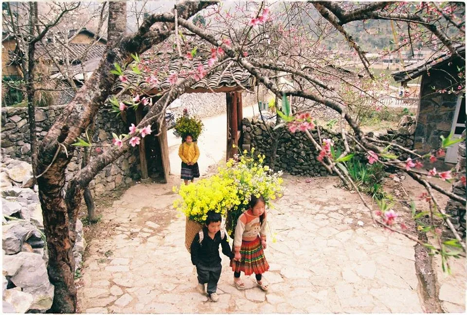 Discover the Magic of Ha Giang Loop in January 