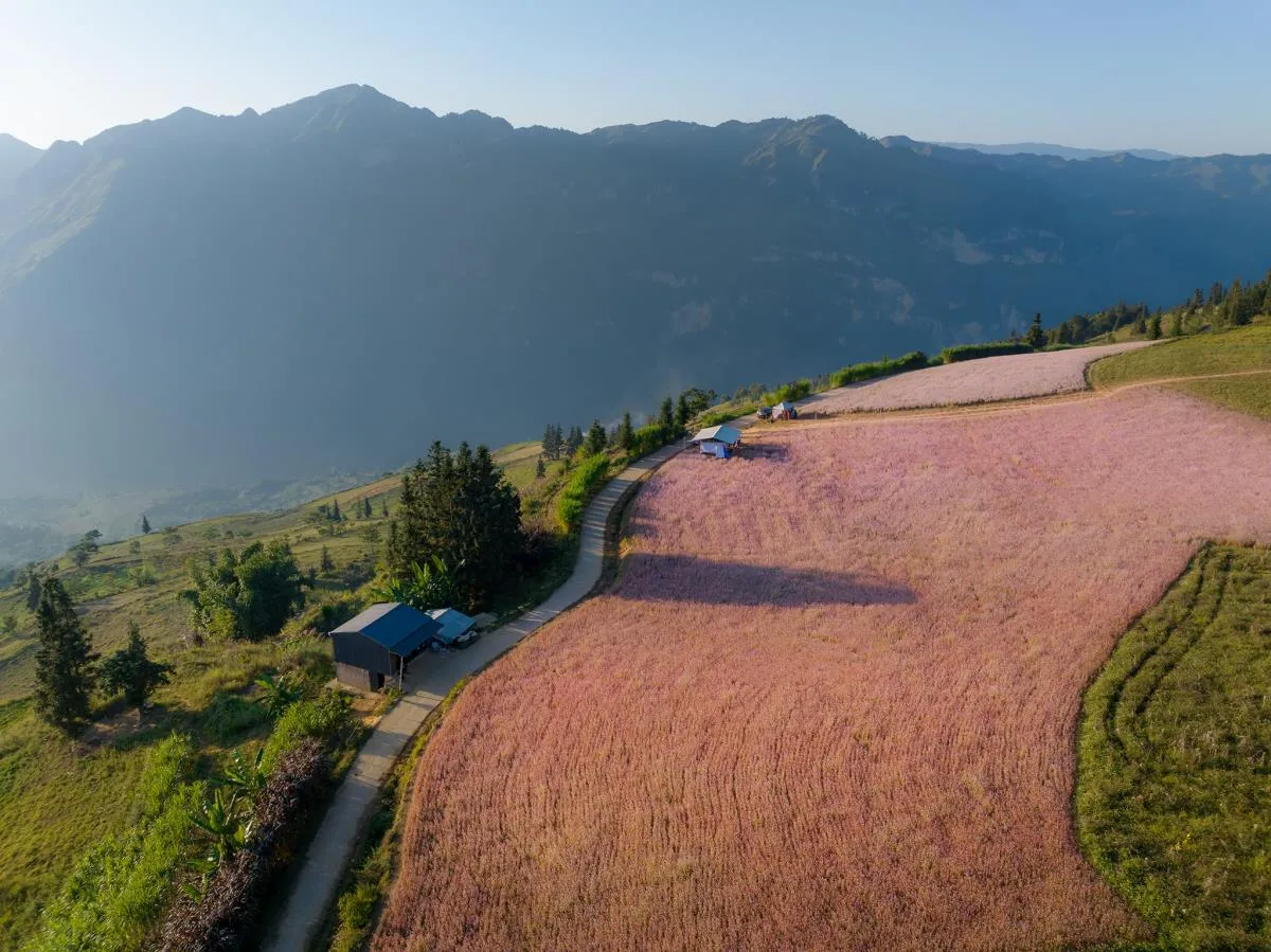 Discover the Wild Beauty of Suoi Thau Grassland in Ha Giang 