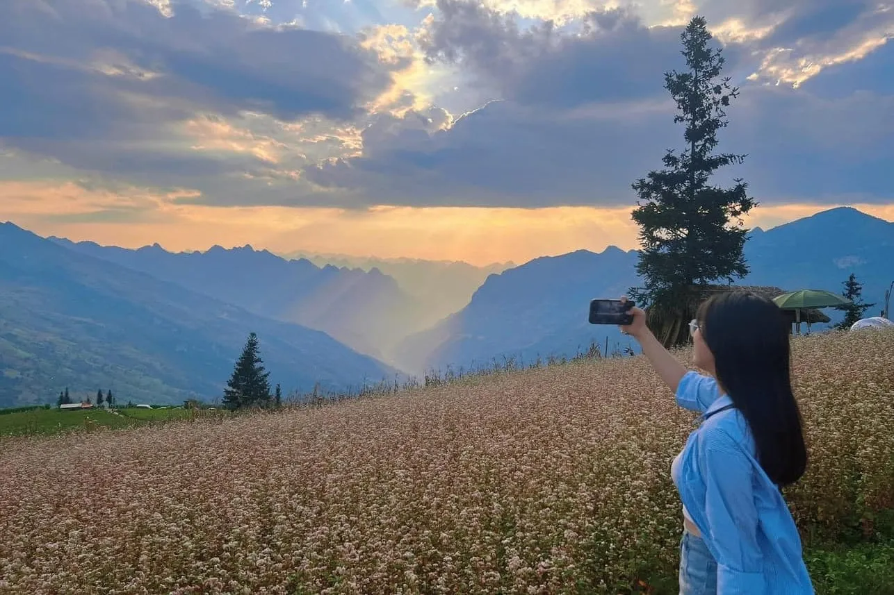 Discover the Wild Beauty of Suoi Thau Grassland in Ha Giang