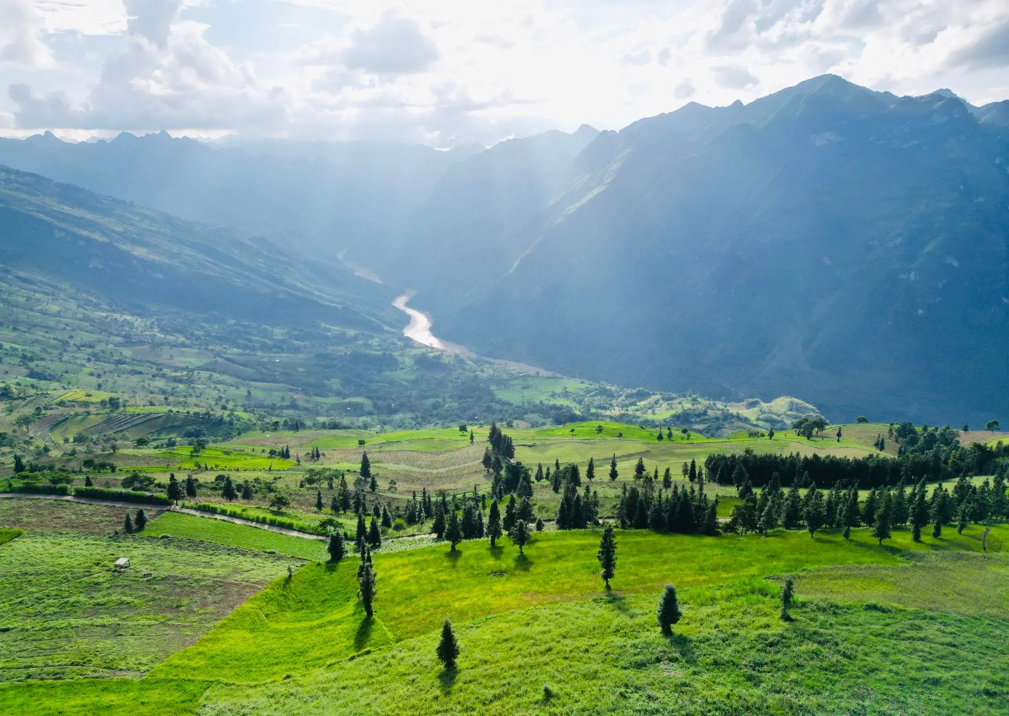 Discover the Wild Beauty of Suoi Thau Grassland in Ha Giang 