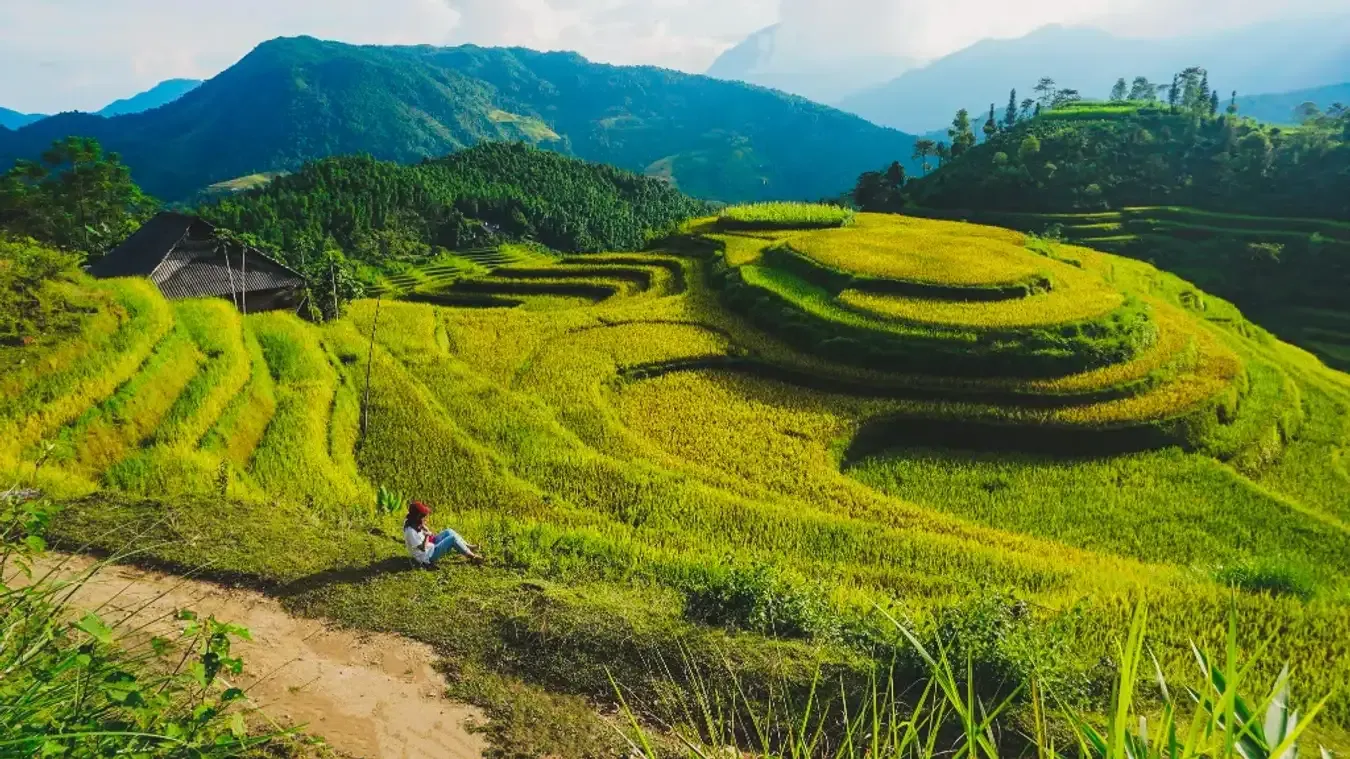 5 Ideal Place to View Golden Rice Fields in Hoang Su Phi 