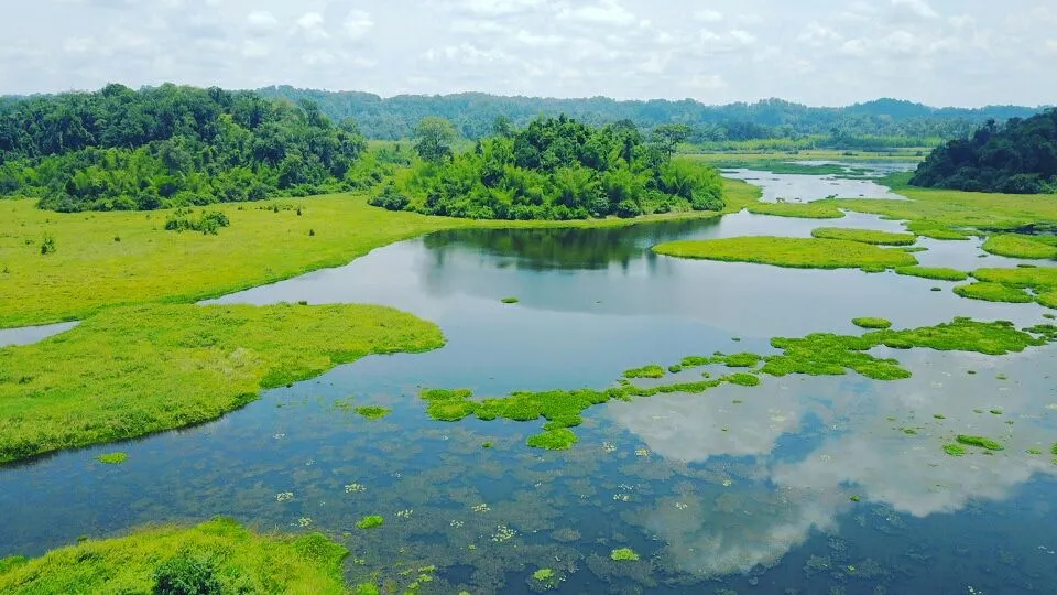 Discover the Wild Beauty of Cat Tien National Park (1)