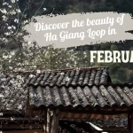 Discover the beauty of Ha Giang Loop in February