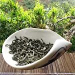 Discover the unique flavor of Shan Tuyet Tea in Ha Giang