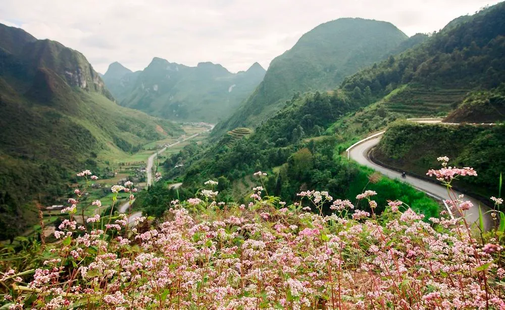 Exploring Ha Giang Loop for Every Type of Traveler 