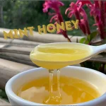 Mint Honey in Ha Giang: The Sweet Taste of the Rocky Plateau