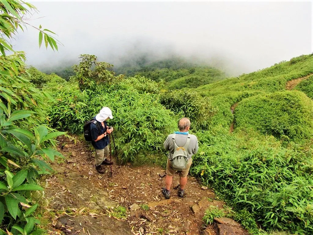 7 Unforgettable Places for Trekking in Vietnam 