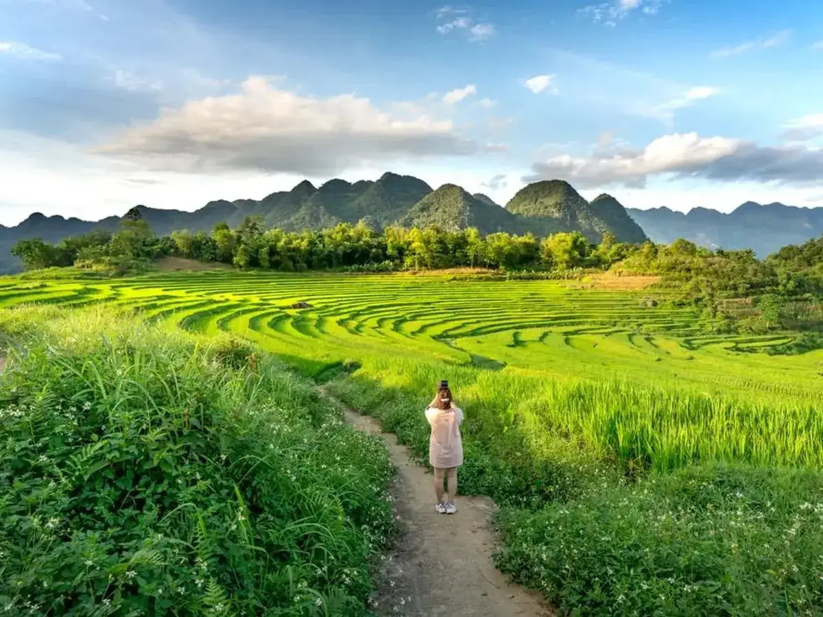 Eco-Tourism in Vietnam Your Ultimate Adventure Awaits 