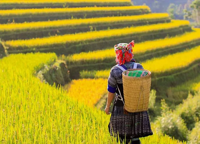 The best time to visit Sapa, Vietnam 