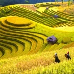 The best time to visit Sapa, Vietnam