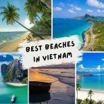 Top 7 the Best Beaches in Vietnam