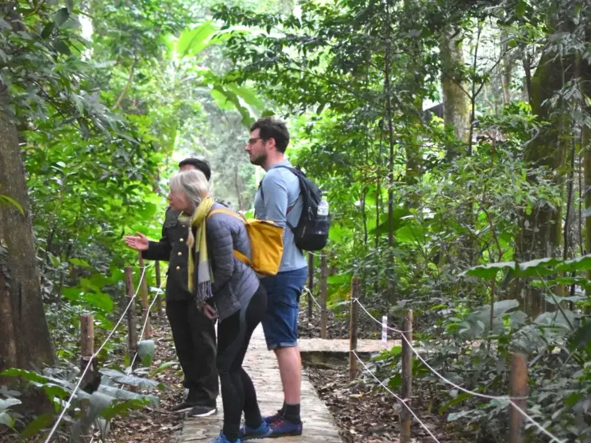 Trekking at Cuc Phuong National Park is an indispensable activity in the list of Best Things to Do in Ninh Binh