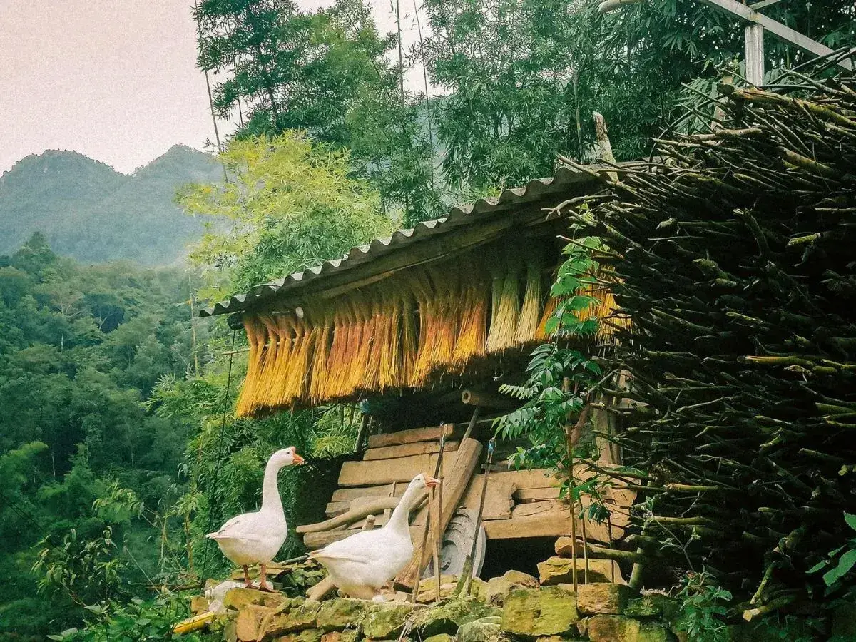 Thien Huong Ancient Village: A Journey to Discover a Unique Cultural Village