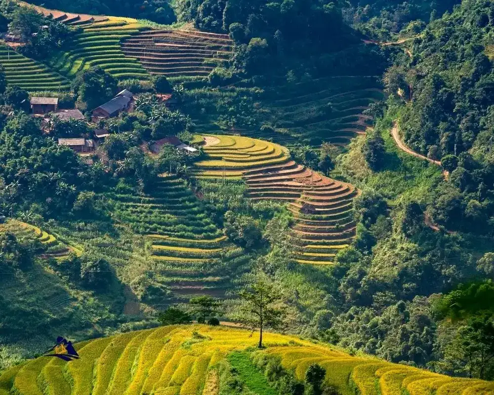 Choosing the right time is important when you plan the Ha Giang Loop